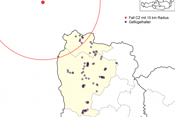 Überwachungszonen Geflügelpest BH Gmünd