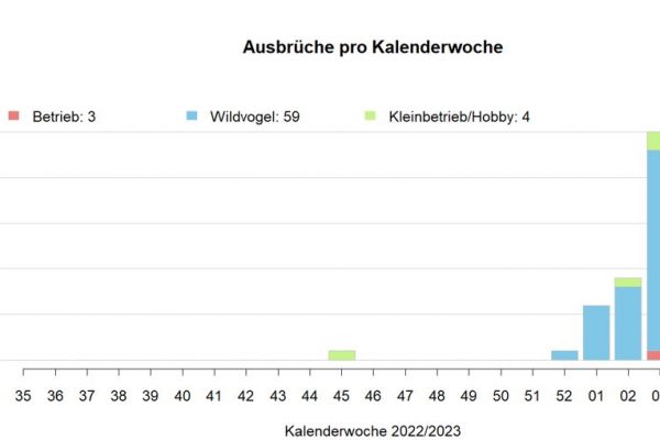 ausbrueche-pro-kw-030223