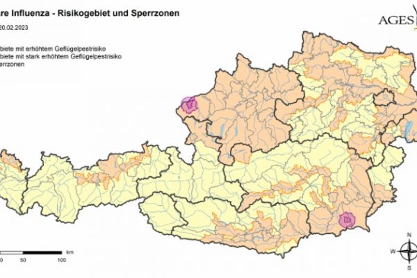 Oesterreichkarte mit den Risikogebieten sowie Schutz und Ueberwachsungszonen 20230220-21