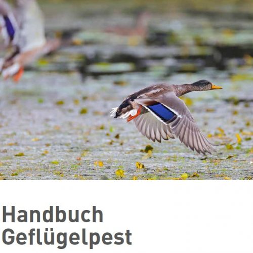 Neues Handbuch Geflügelpest