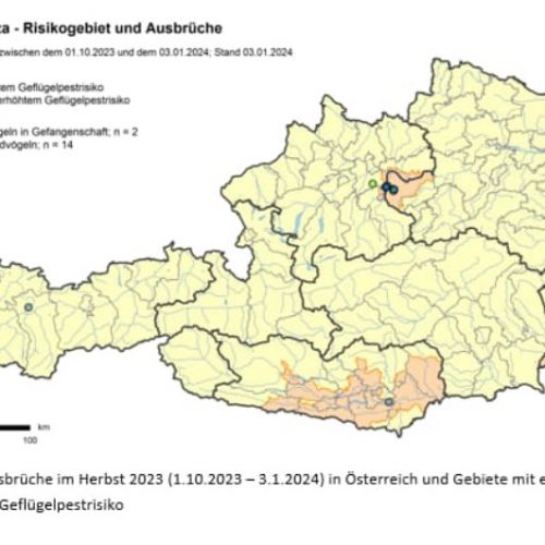 Pressemeldung zum aktuellen Geflügelpestfall in einer Kleinsthaltung im Bezirk Linz-Land
