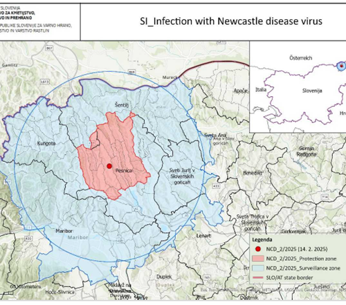 Newcastle Disease in Slowenien- Auswirkungen auf Österreich
