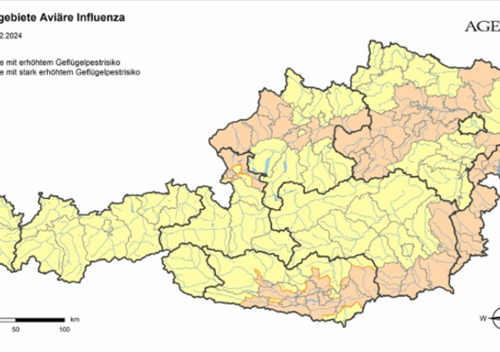 HPAI: aktuelle Risikogebiete