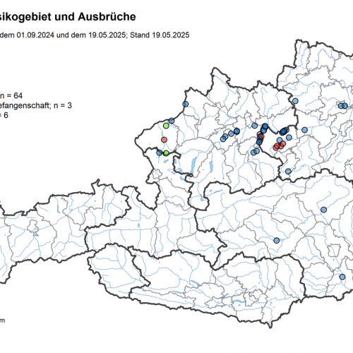 HPAI: Aufhebung der Risikogebiete