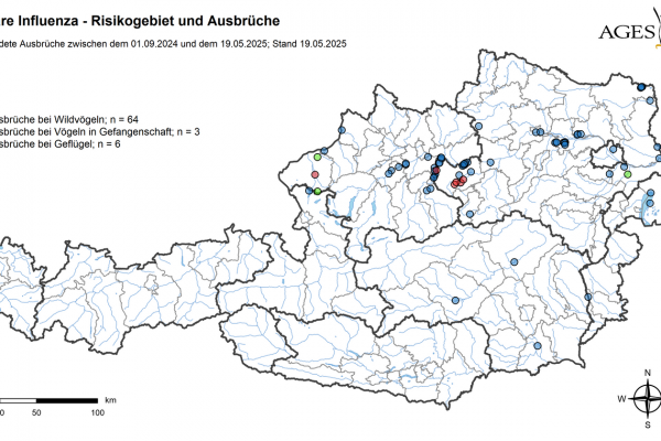 AI Ausbrüche und Risikogebiete 19.05.25gebiet_de_f4d1162db2