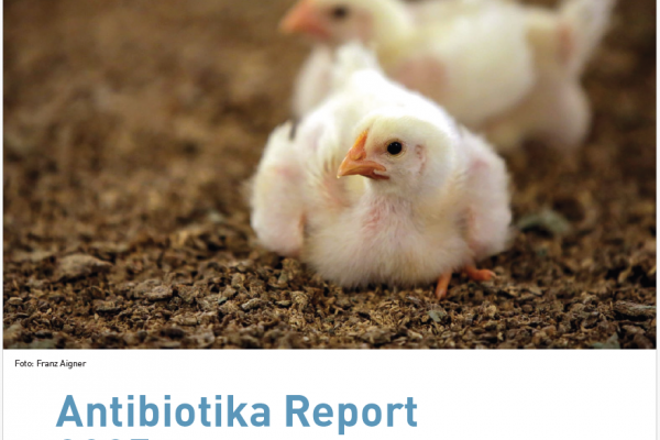 ab-2025-screenshot ab-2025-screenshot