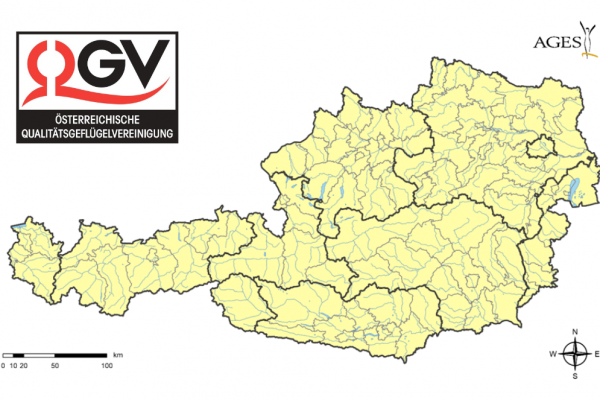 screenshot-2026-04-02-084220