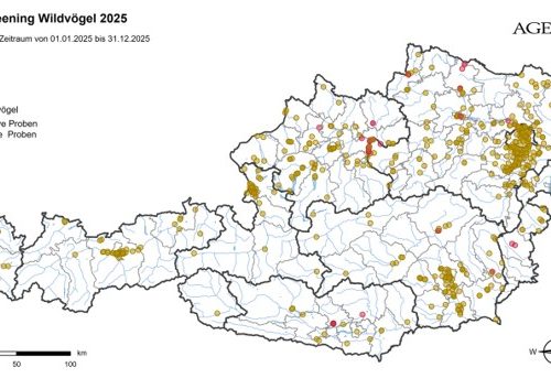 HPAI: Aufhebung der Risikogebiete